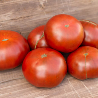 ТАСМАНСКИЙ ШОКОЛАД Dwarf Tasmanian Chocolate