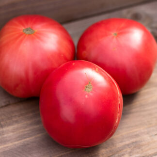 УЭВЕРЛИ  Dwarf Waverley