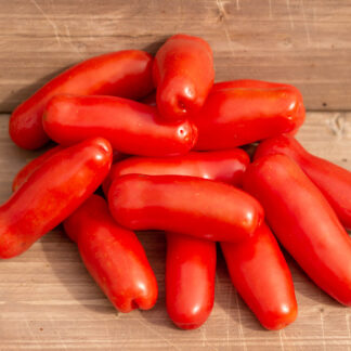 ВЕСЕЛЫЙ ГНОМ