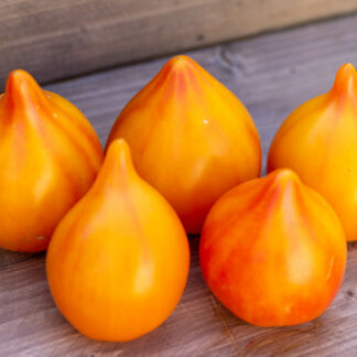 ВОЛШЕБНЫЕ ШЛЯПЫ ТЕТУШКИ ГРЕТЕЛЬ Tante Gretels magische Hüte