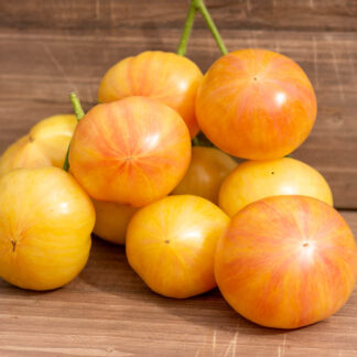 ЯРСОН 1/1 Jarson 1/1