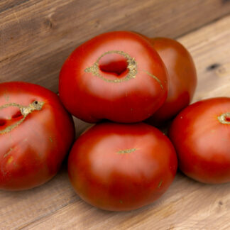 ЯРСОН 16 Jarson 16