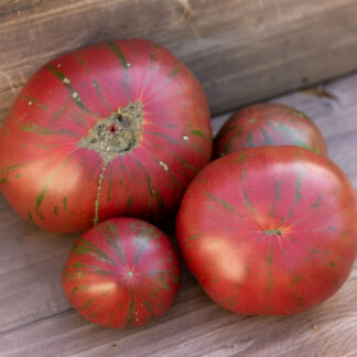 ЯРСОН 26 Jarson 26