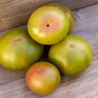 ЯРСОН 5 Jarson 5