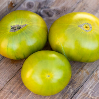 ЗЕЛЕНАЯ ЗАГАДКА МИСТЕРА ГРАБА Grub's Mystery Green