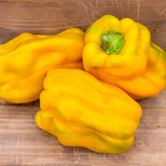 ЖЁЛТЫЙ МОНСТР Yellow Monster