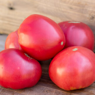 БИГ ВАЛЕНТАЙН Dwarf Big Valentine