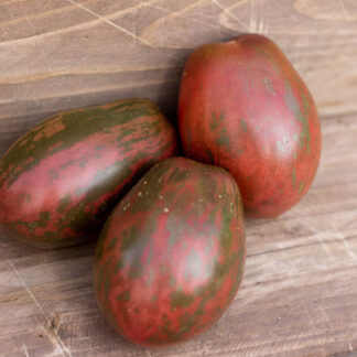 МОРСКИЕ ЗВОНКИ                                                               Dwarf Maritime Bells