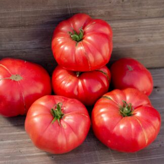 ПАЛЬМИРО И АЛЕССАНДРО  PALMIRO E ALESSANDRO