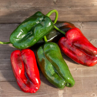 АНЧО ПОБЛАНО Ancho Poblano