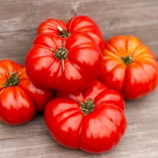 БАБЛ ГАМ Bubble Gum