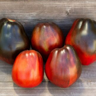 БРОНЗОВАЯ ГРУША СЕРЖАНТА ПЕППЕРА