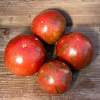 ЧЕРНЫЙ ОГОНЬ Dwarf Black Fire