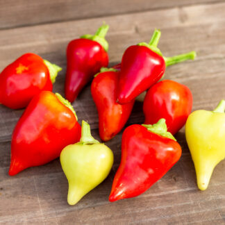 ЧЕРРИ БЕЛЛ Cherry Ball