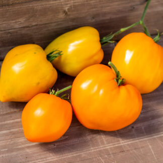 ЧУДО ЗЕМЛИ ОРАНЖЕВОЕ Earth Wonder Orange