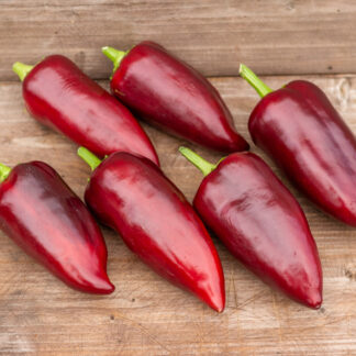 ЦЫГАНСКИЙ БАРОН