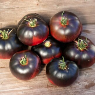 ДИКИЙ ЧЕРНОСЛИВ