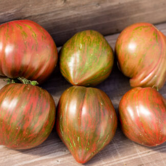 ФИОЛЕТОВАЯ КРАСАВИЦА Belezza Viola