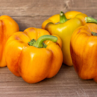 ГАЛАКСИ Galaxy