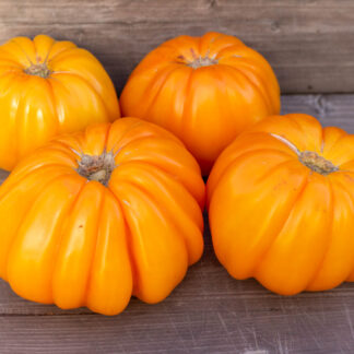 ГИГАНТ ОРО Oro giant