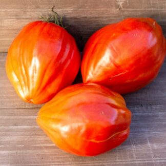 ГИГАНТСКИЙ МЕЧ Spadone Gigante