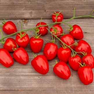 ГОЛУБИНОЕ СЕРДЦЕ