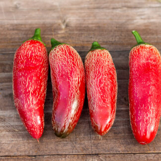 ХАЛАПЕНЬО ХАЛАФУЭГО Jalapeno Jalafuego