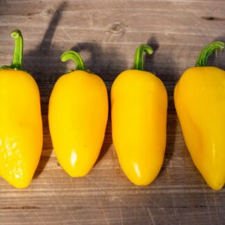 ХАЛАПЕНЬО НЬЮМЕКС ЛИМОННАЯ СПЕЦИЯ NewMex Lemon Spice