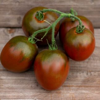 КАРАМЕЛЬНЫЙ КАРДИНАЛ Caramel Cordial