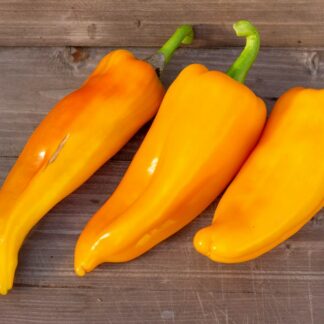 КАРПАТИЯ Carpathia