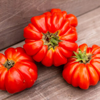 КРАСНЫЙ БОРДЮР Kerb Rouge