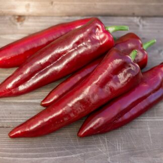 КОРНО ДИ ТОРО Corno di Toro