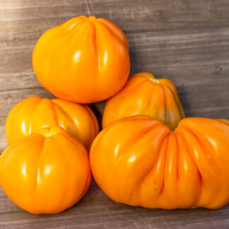 КОШЕЛЕК ЦВЕТА ХУРЬМЫ Persimonowa sakiewka