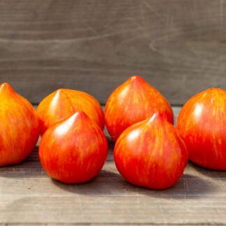 КРАСОЧНАЯ ЛЕДИ Painted Lady