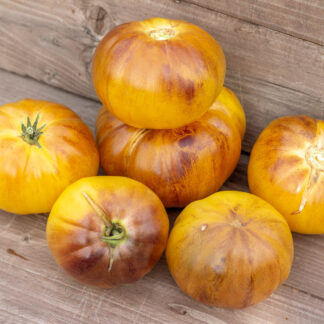 ЛУННОЕ ОЧАРОВАНИЕ