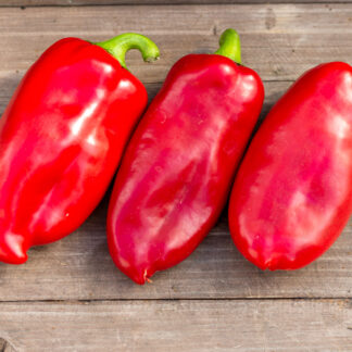 ЛЮБОВА ЛАДОНЬ Ljubov Dlan