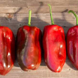 МАКСИ БЕЛЛ Mexibell