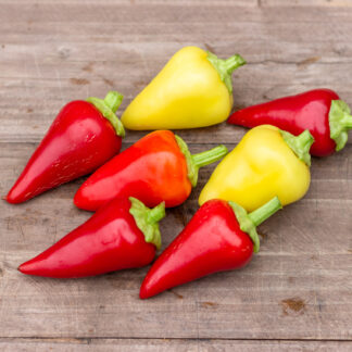 ГОРЯЧЕЕ СЕРДЕЧКО Hot Petite Heart