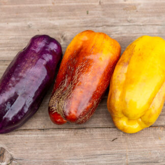 МЕДОВАЯ КАРАМЕЛЬ