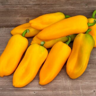 МИНИ СВИТ ЖЁЛТЫЙ  Mini Sweet Yellow