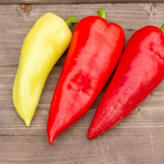 МОНАНТА Monanta