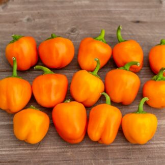 КРОШКА ЖЕЛТАЯ Baby Bell Yellow