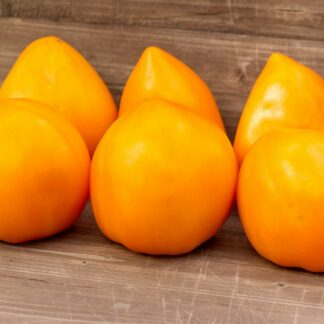 ОРАНЖЕВОЕ СЕРДЦЕ ПЕССАКА Orange Heart Passak