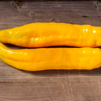 ПАЛЕРМО ЖЕЛТЫЙ F3