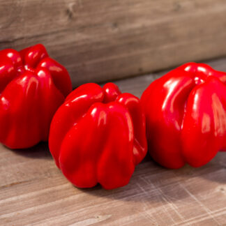 ПАПАЧЕЛЛО КРАСНЫЙ