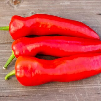 ПЕТЛЯКОВСКИЙ