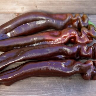 РАМИРО ШОКОЛАДНЫЙ