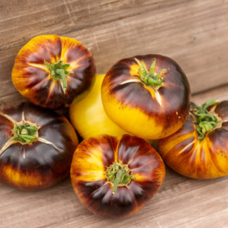 РОСОМАХА Wolverine