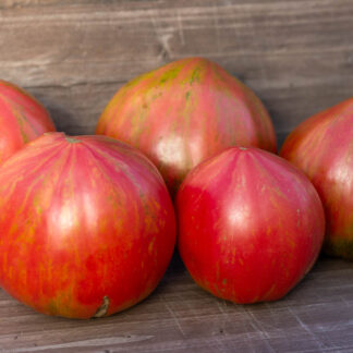 РОЗОВОЕ ПОЛОСАТОЕ СЕРДЦЕ ПЕССАКА Coeur rose strie de Pessac