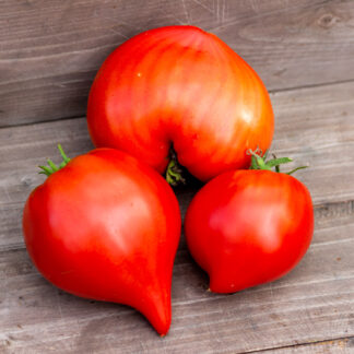 СЕРДЦЕ БЕЛЬГИИ Belgian Heart